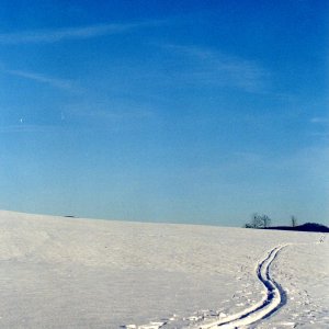 Winterspaziergang VI