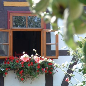 Fachwerkhaus mit Sprossenfenster und Blumenkasten