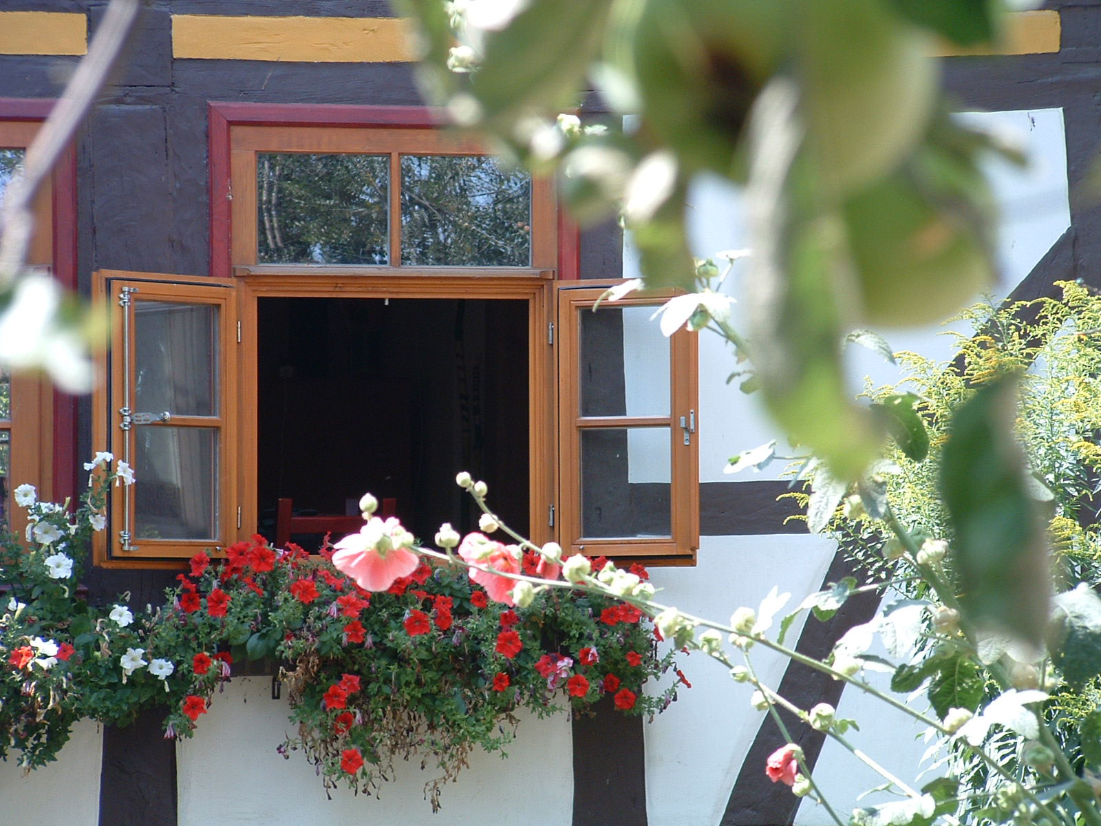Fachwerkhaus mit Sprossenfenster und Blumenkasten